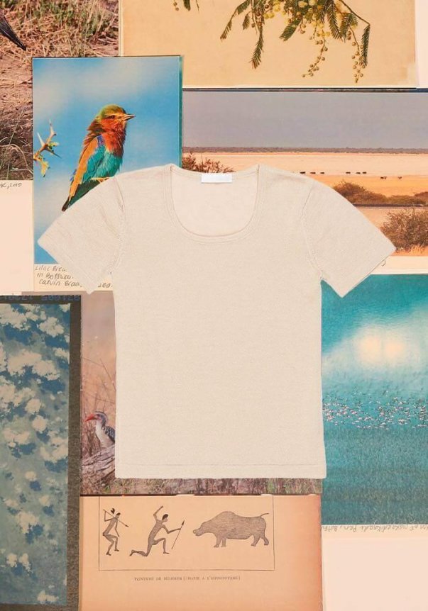 A cream-colored, short-sleeve, scoop-neck T-shirt is laid on a collage of nature-themed images, including birds and landscapes, showcasing a simplistic and earthy aesthetic.