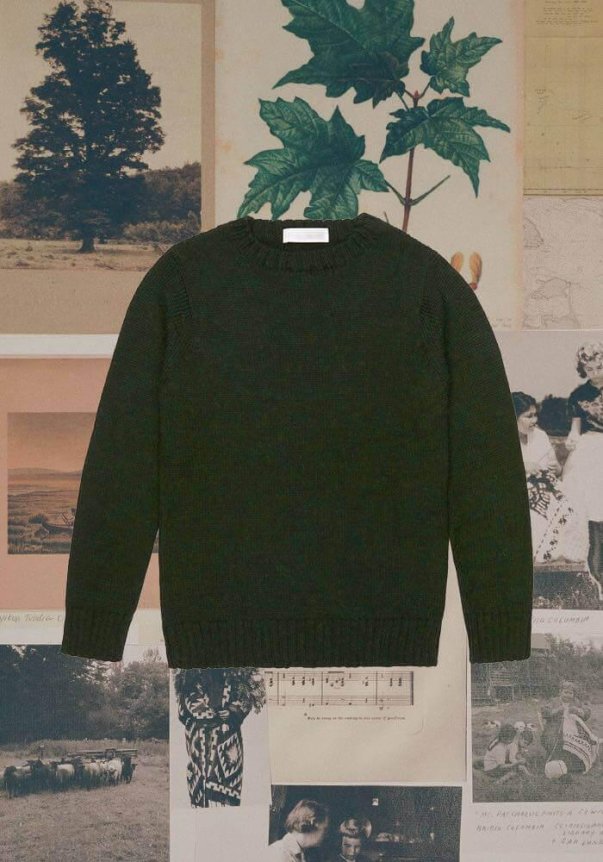 A dark green, knitted crew neck sweater with a classic fit, displayed against a backdrop of vintage botanical and monochrome photographs.