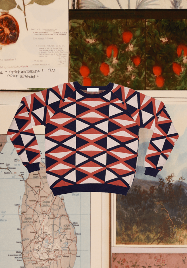 Geometric-patterned sweater in navy, red, and white with a fitted crew neck style, set against a collage of botanical illustrations and a vintage map.