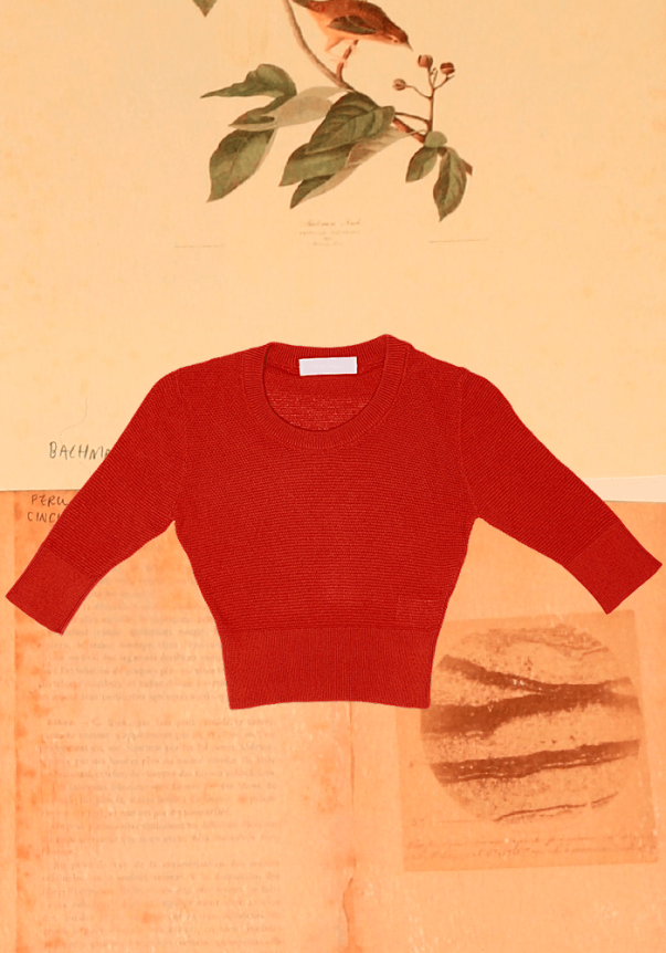 A red, cropped, long-sleeve knit sweater set against a vintage botanical illustration background.