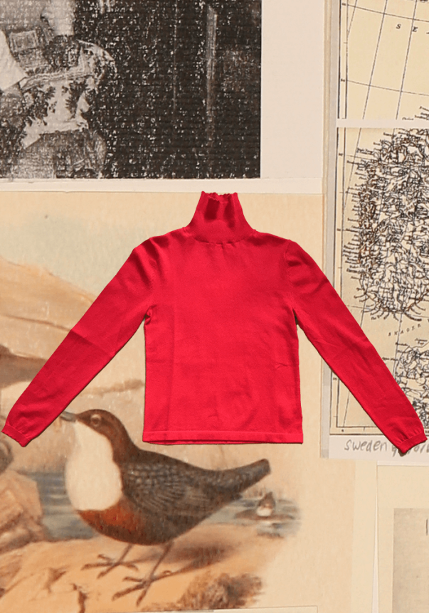 Red Cotton Turtleneck