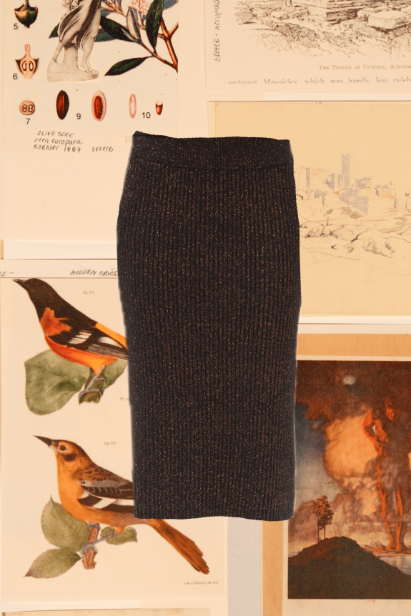 A textured black pencil skirt with metallic threading is set against a backdrop of vintage botanical and bird illustrations.