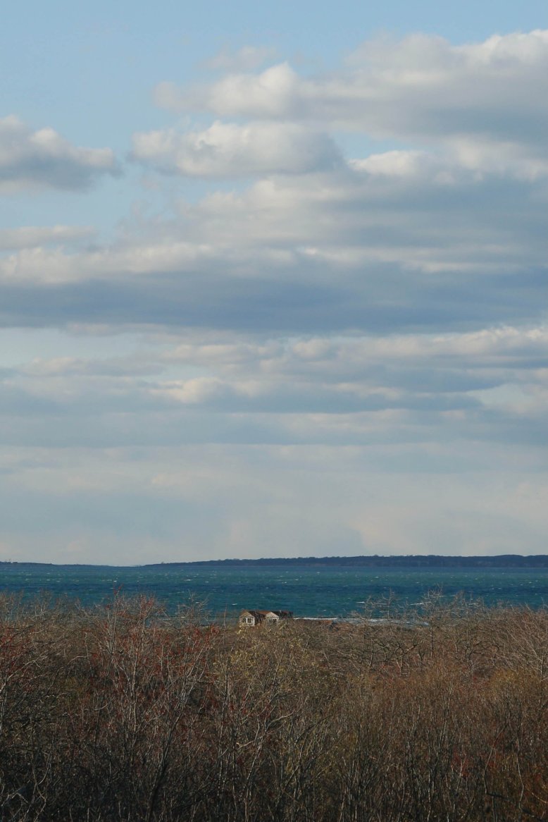 A peaceful landscape with bare trees in the foreground, a body of water in the middle, and a cloudy sky above.
