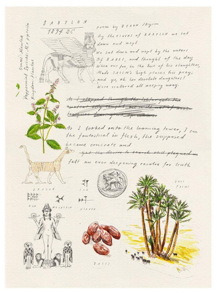 A hand-drawn collage featuring illustrations of Babylonian symbols, plants, and a poem, with detailed sketches of a winged lion, date palms, and cuneiform script.