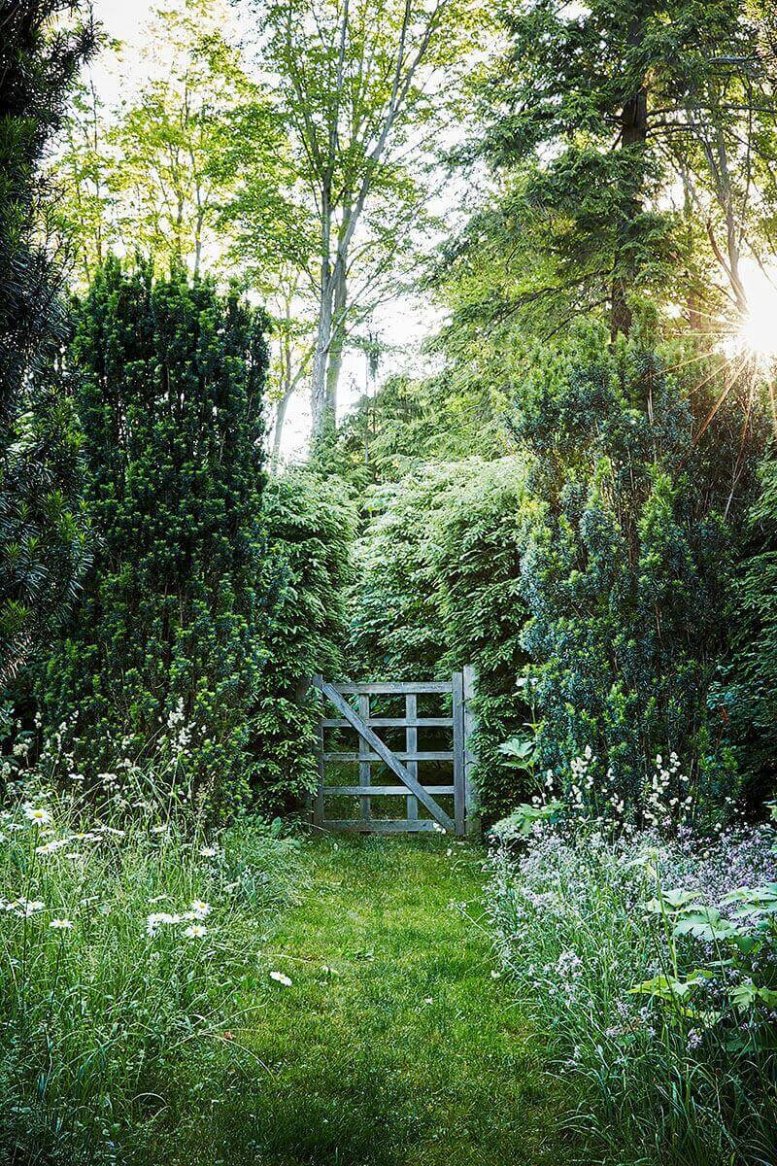 A lush garden path with tall greenery and wildflowers leads to a wooden gate, bathed in soft sunlight.