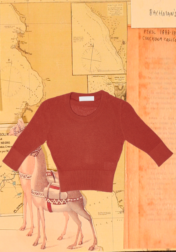 Camille Aragon Pima Cotton