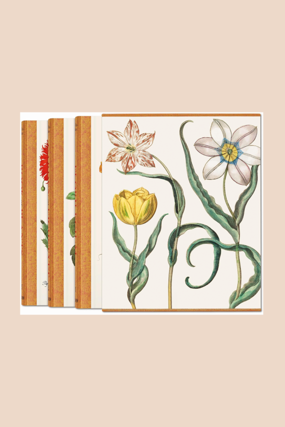 Illustration of various flowers with intricate, detailed designs on a neutral background.