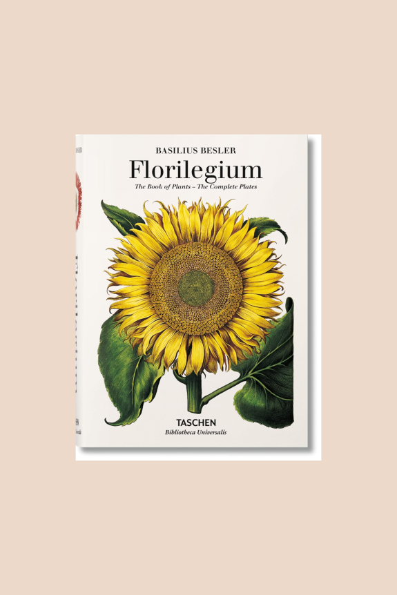 The image shows a book cover featuring a detailed illustration of a sunflower, titled 