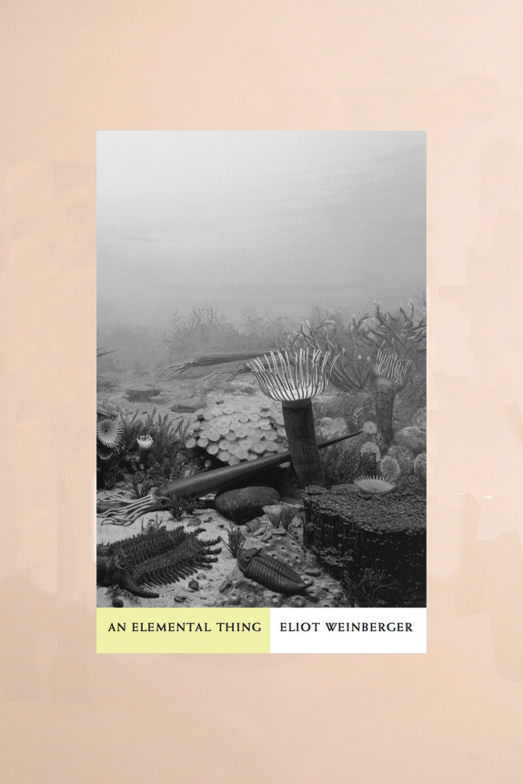 A surreal underwater scene with prehistoric marine life, featuring intricate black-and-white illustrations of corals, ammonites, and sea creatures.