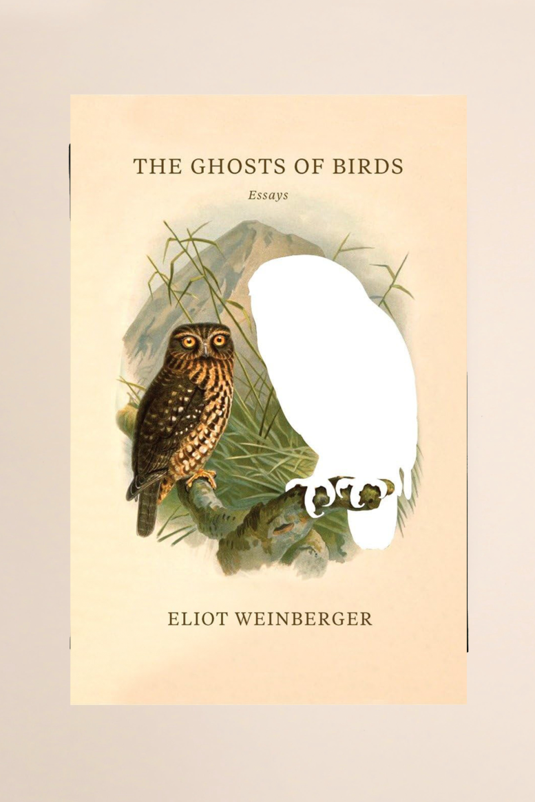 The Ghost of Birds by Eliot Weinberger